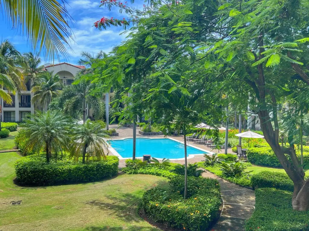 013f3bb2 06a3 41d4 b3d4 f803f528aa08.jpg