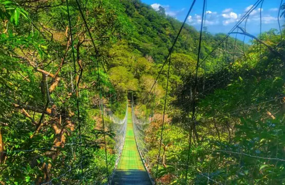 01e69256 b298 4697 bbf1 7a21ddd16c46.jpg