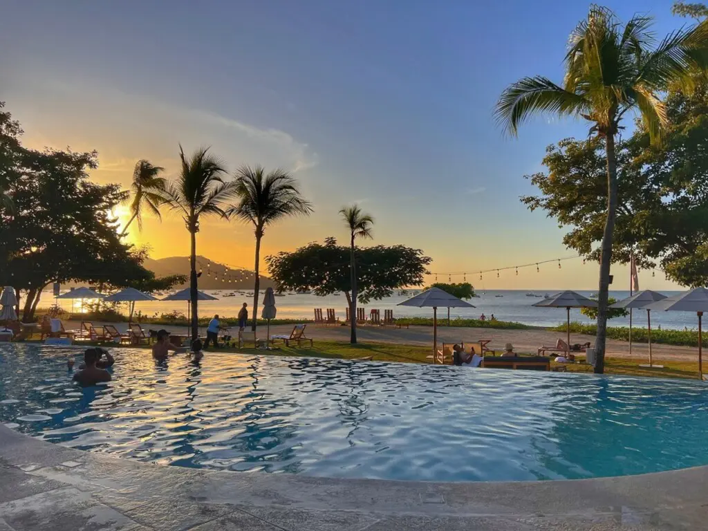 0250b408 2569 40f6 9892 559f88b2087e.jpg