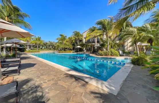 031cc848 250a 41eb a6b6 3fabda9ab48a.jpg