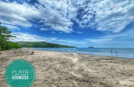 04afccdb 639a 4e63 9d58 4fc8512591fc.jpg