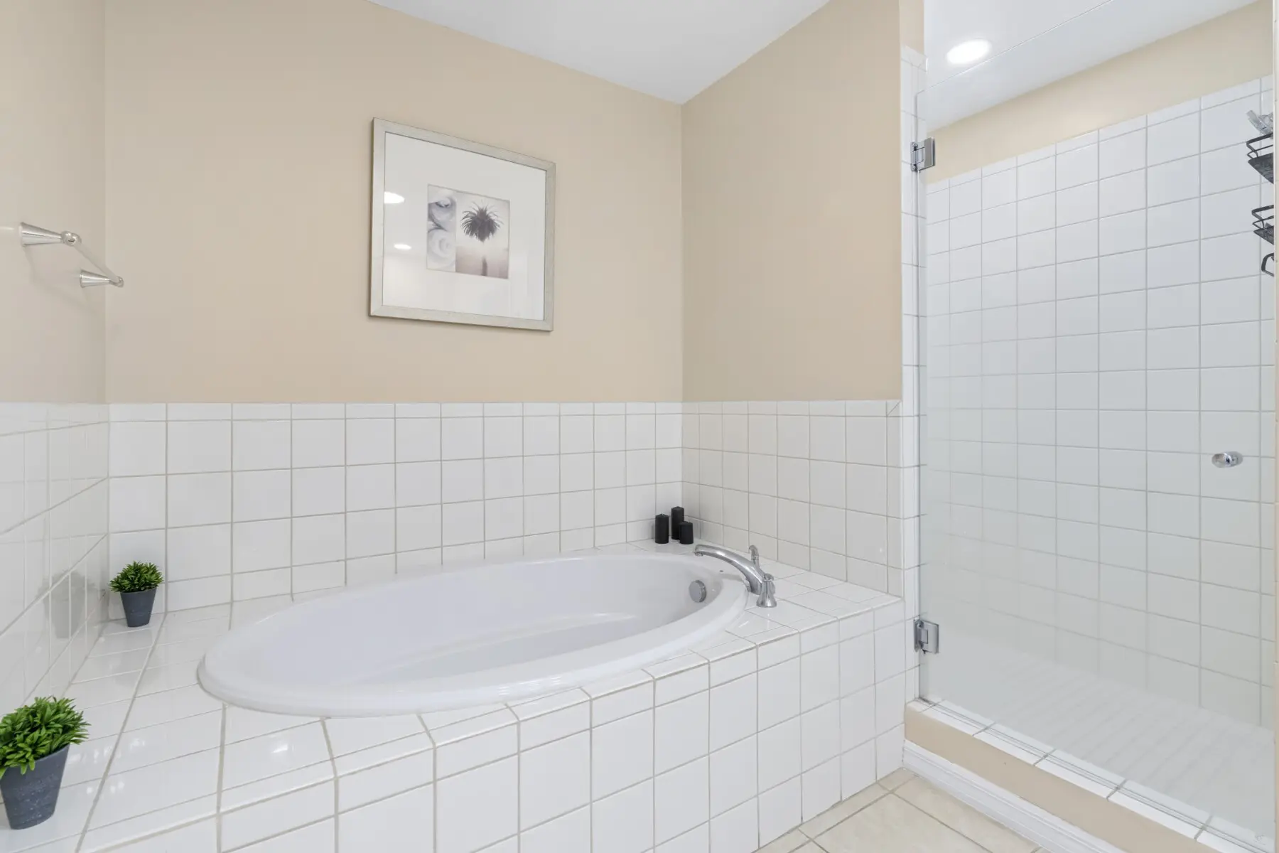 05e9f943 e49a 4565 8a86 75b91ae9dd6b.jpg