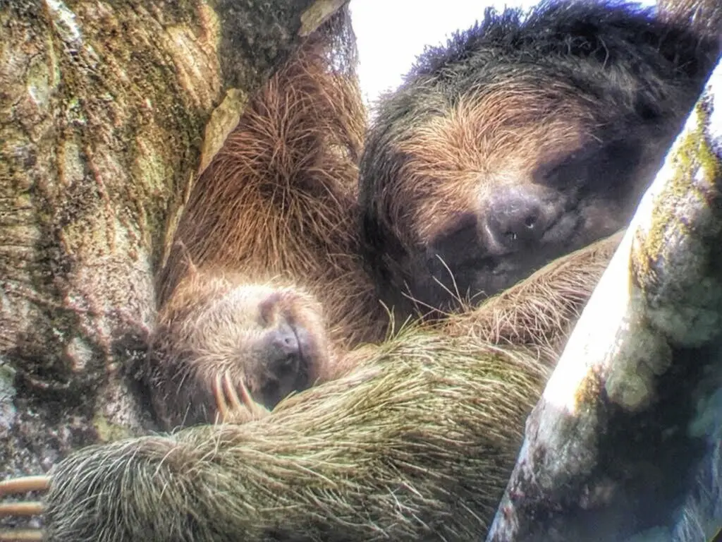 0719224f 23c0 4d56 ae32 6596a2a42282.jpg