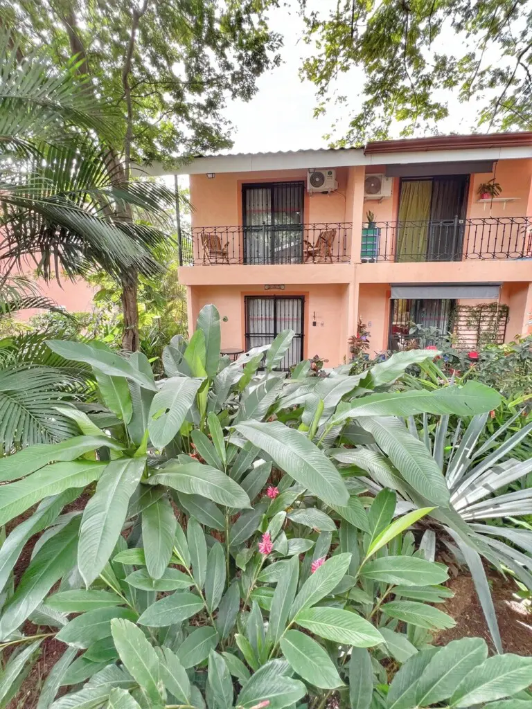 07e079f1 6306 4b49 8662 bbc406ef35cd.jpg