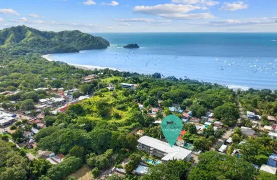 0844e428 c253 435e aa59 812de285eec5.jpg