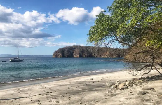 09aeca86 20e8 48d5 8e83 b5731eddf887.jpg