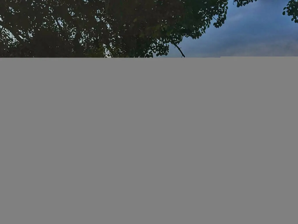 0a77a0dd fd7a 451b 9aac fcd576316ddd.jpg