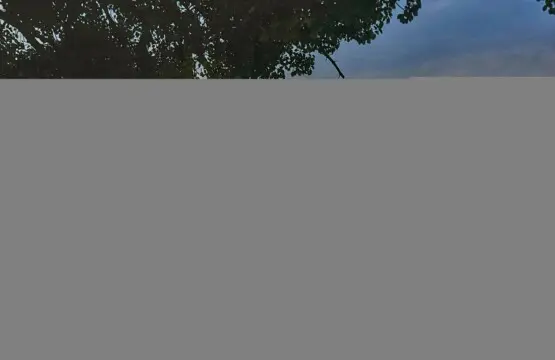 0a77a0dd fd7a 451b 9aac fcd576316ddd.jpg