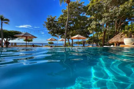 0c787ea4 4992 41e9 b9bf df92ce2e084d.jpg