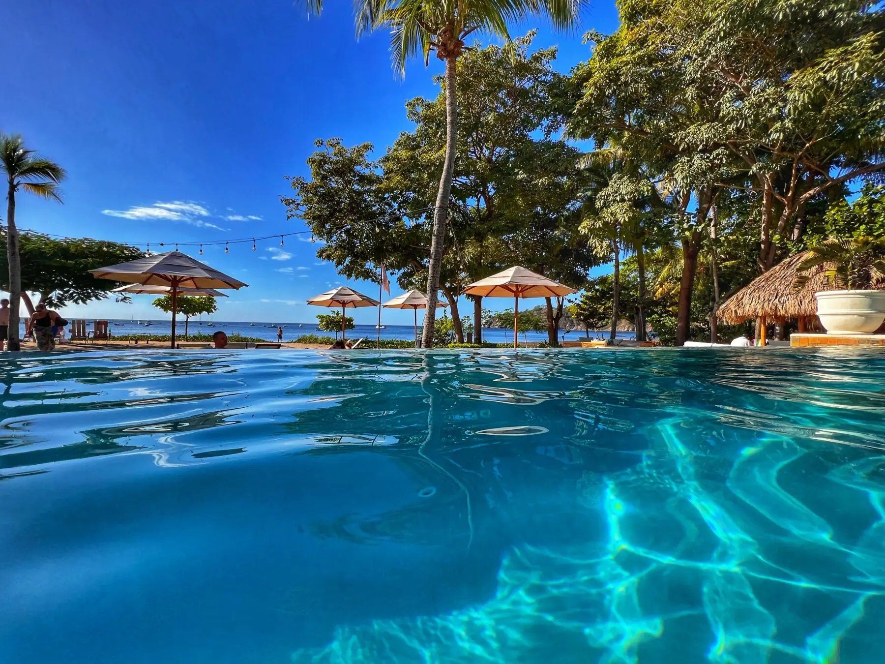 0c787ea4 4992 41e9 b9bf df92ce2e084d.jpg