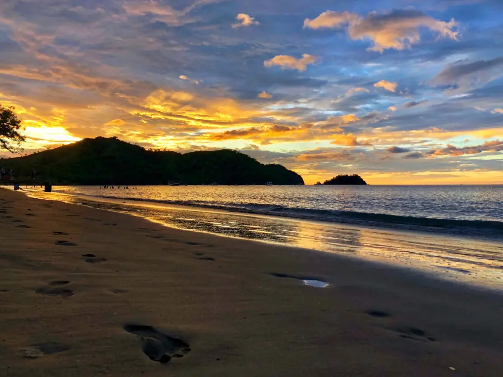 0d0c9911 bb61 4e6c b059 39870319e98c.jpg