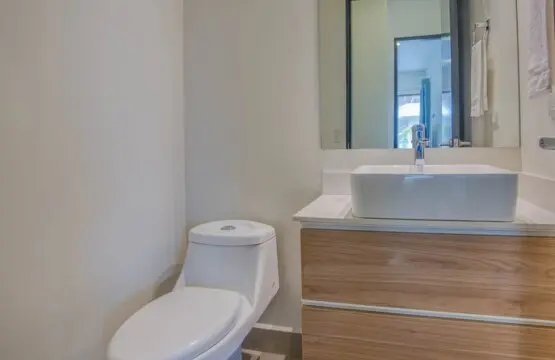 0d7bc36d 1708 4a72 9ed2 f900259e7a0e.jpg