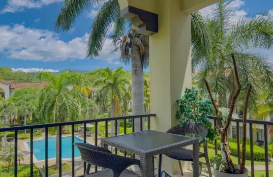 0d83d2b5 aa41 4a4e 92a5 b10d54705d92.jpg