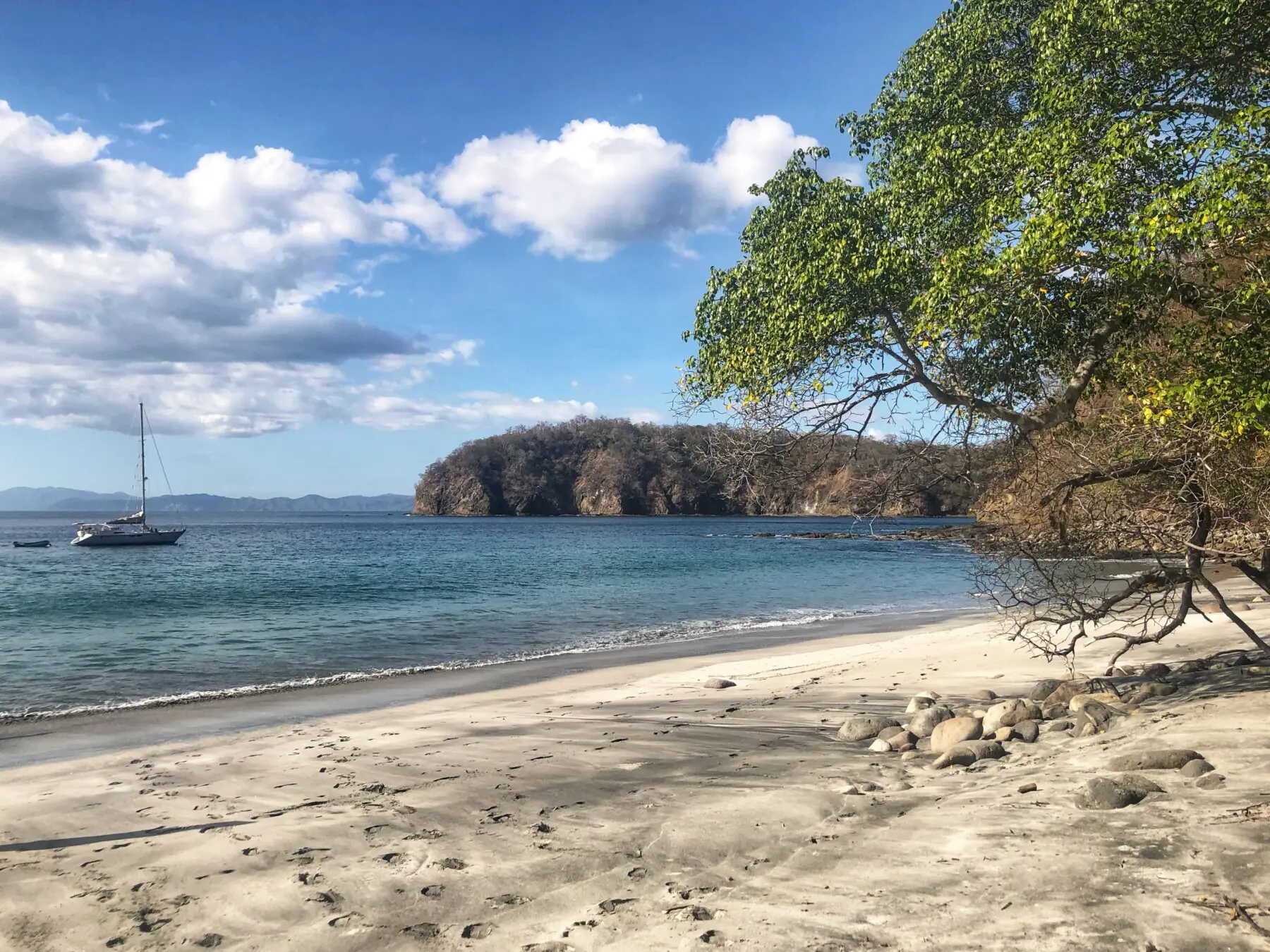 0debc2b0 605c 4807 8733 82ae9a0327cf.jpg