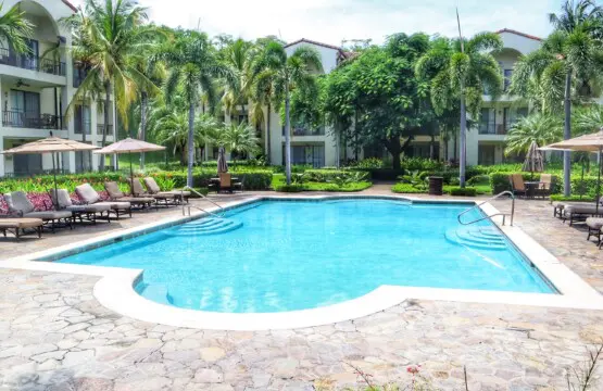 0e806201 1239 4650 b19a 6e91b58c27f7.jpg