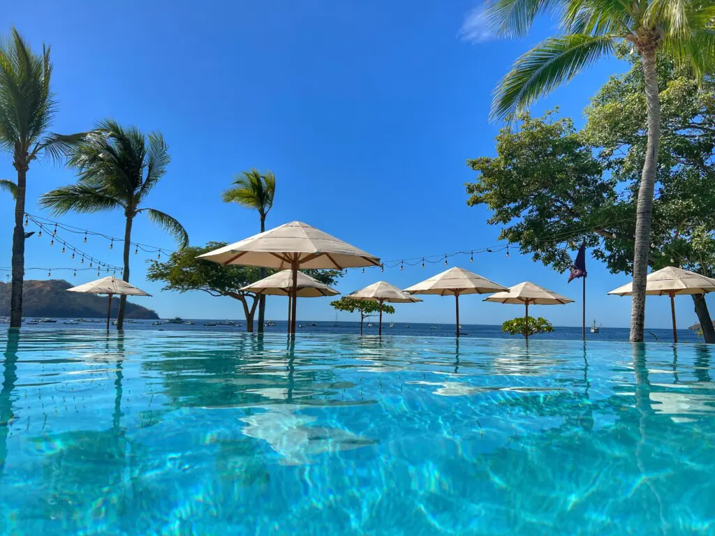 0ea7918b dd57 4009 aab4 6b9bc0710ed6.jpg