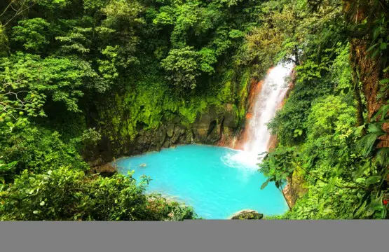 0f82565a b9f3 4568 83e8 e68c4d51e7ff.jpg