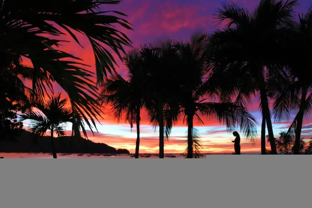 183ea2ea 5a1c 4e66 8340 3aa27d956b24.jpg