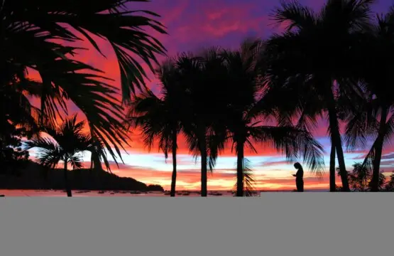 183ea2ea 5a1c 4e66 8340 3aa27d956b24.jpg