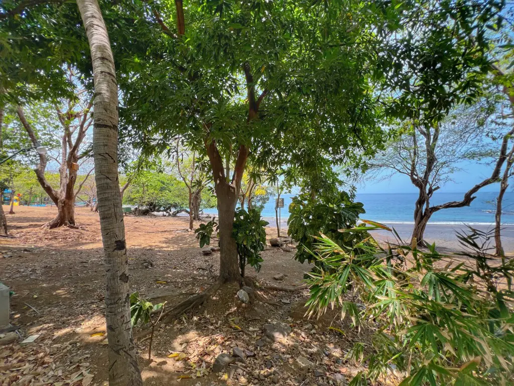 191af7be 323e 425c a603 bb4614fc5953.jpg