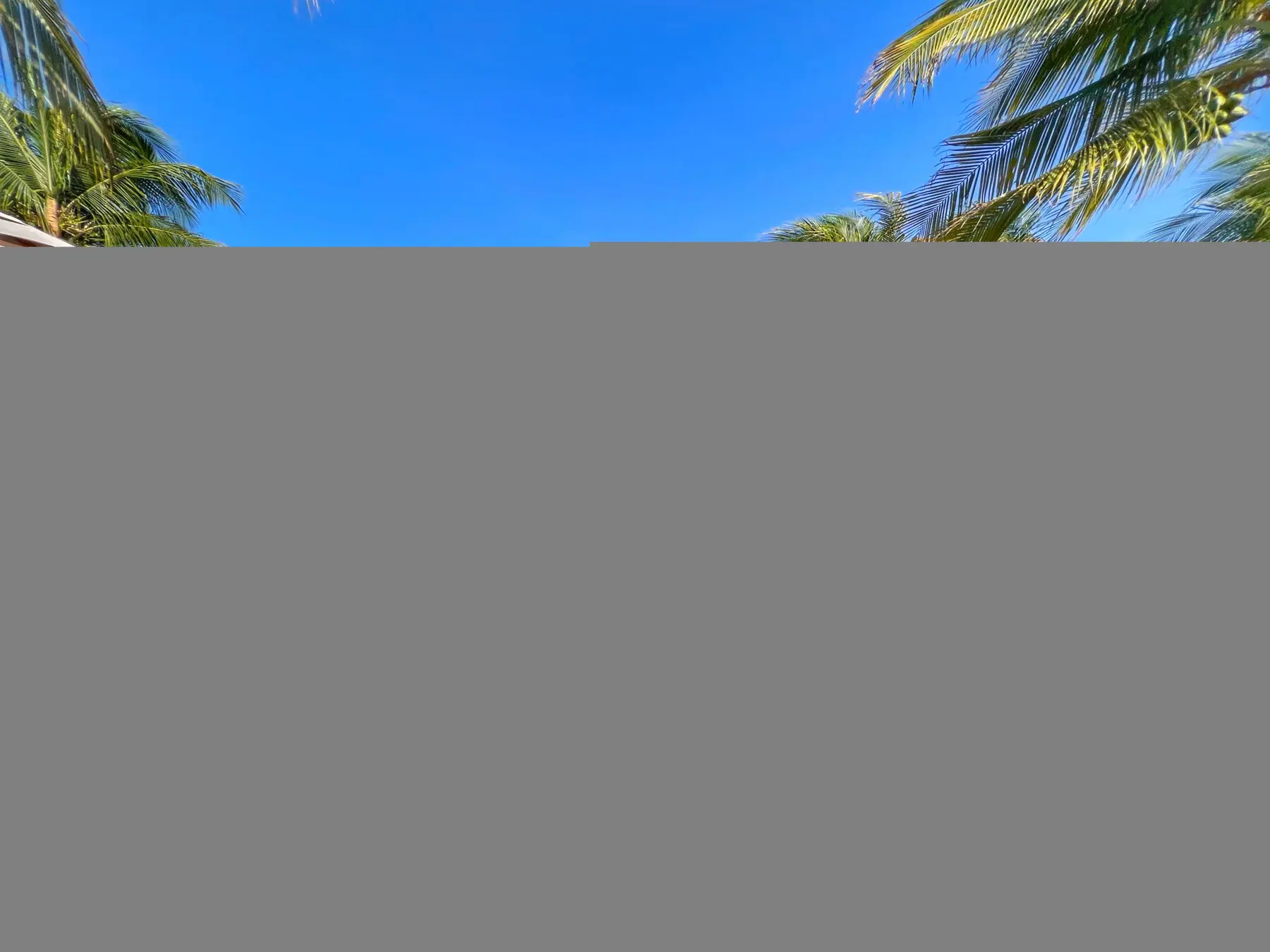 1a6691ce ad75 44e2 af00 3ec210e61cf8.jpg