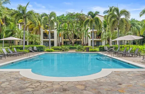 1c2a71b1 f4ff 477b a080 5fd441697cfd.jpg