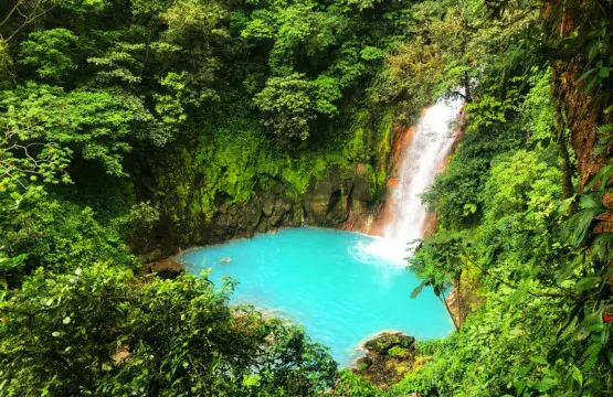 1d9dd023 2d7a 4448 82b8 9adbd14d7a91.jpg