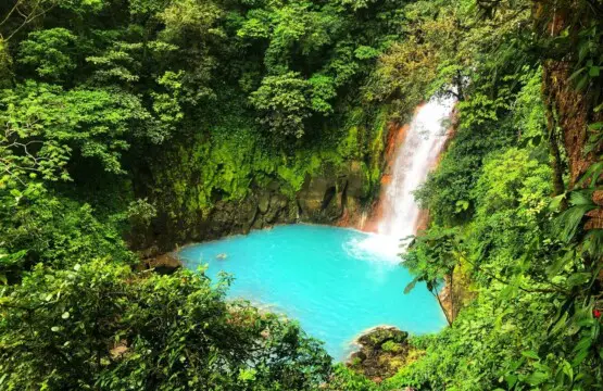 20227539 2c3a 4686 bfd7 3496ca4e6ad3.jpg