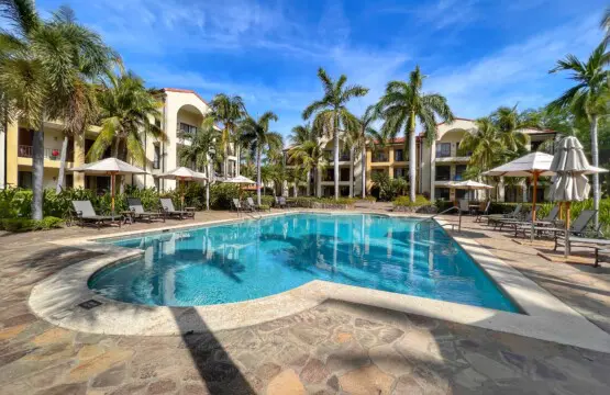 2185cbb2 9a88 43e8 b248 3e4620361442.jpg