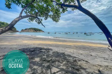 21cee14a 0ea0 45eb 9173 d9987dc1bd4f.jpg