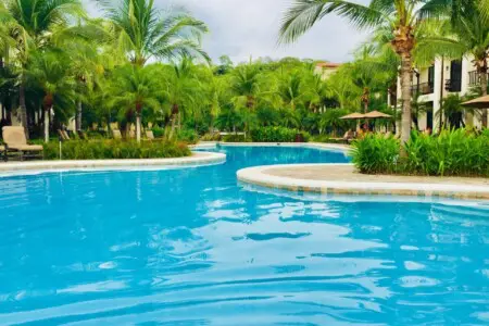 21d988c5 0320 4a32 bfac 3609d0962ebc.jpg