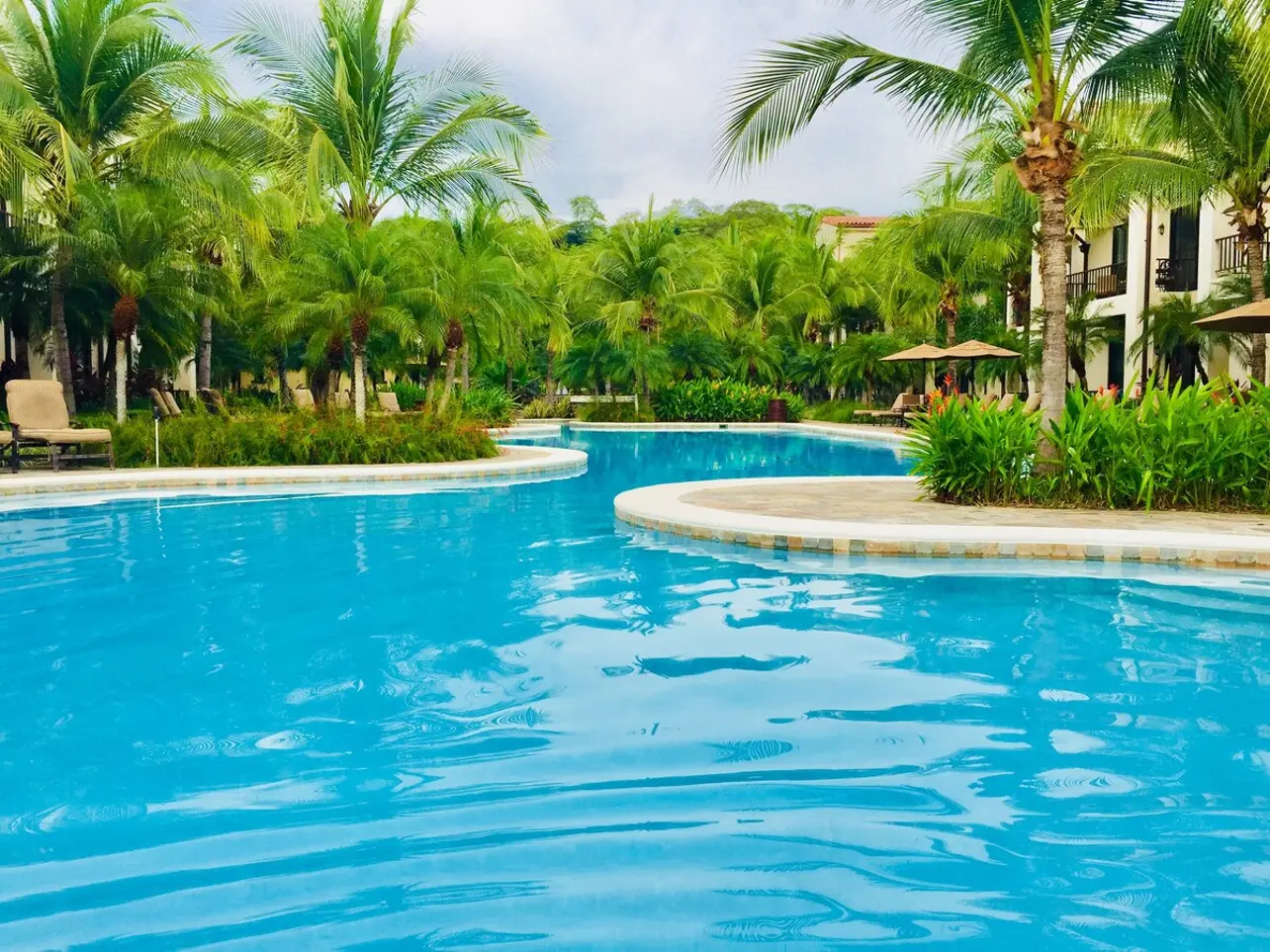 21d988c5 0320 4a32 bfac 3609d0962ebc.jpg