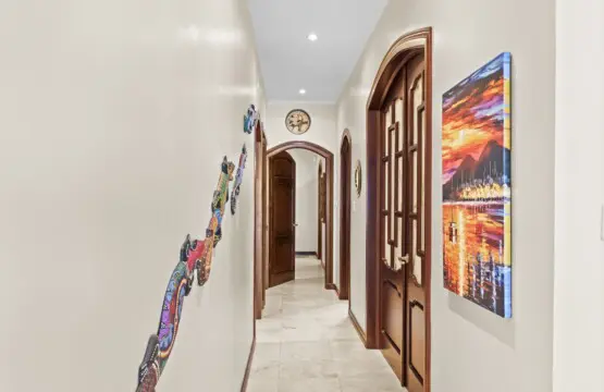 22387630 01e2 4ea7 92a9 d7eb4a45b606.jpg