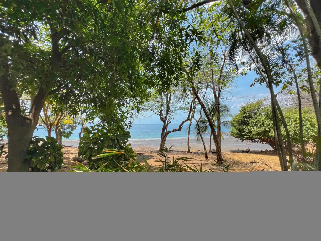 224bc6ac 73b4 46bc 82e0 4ba809205263.jpg