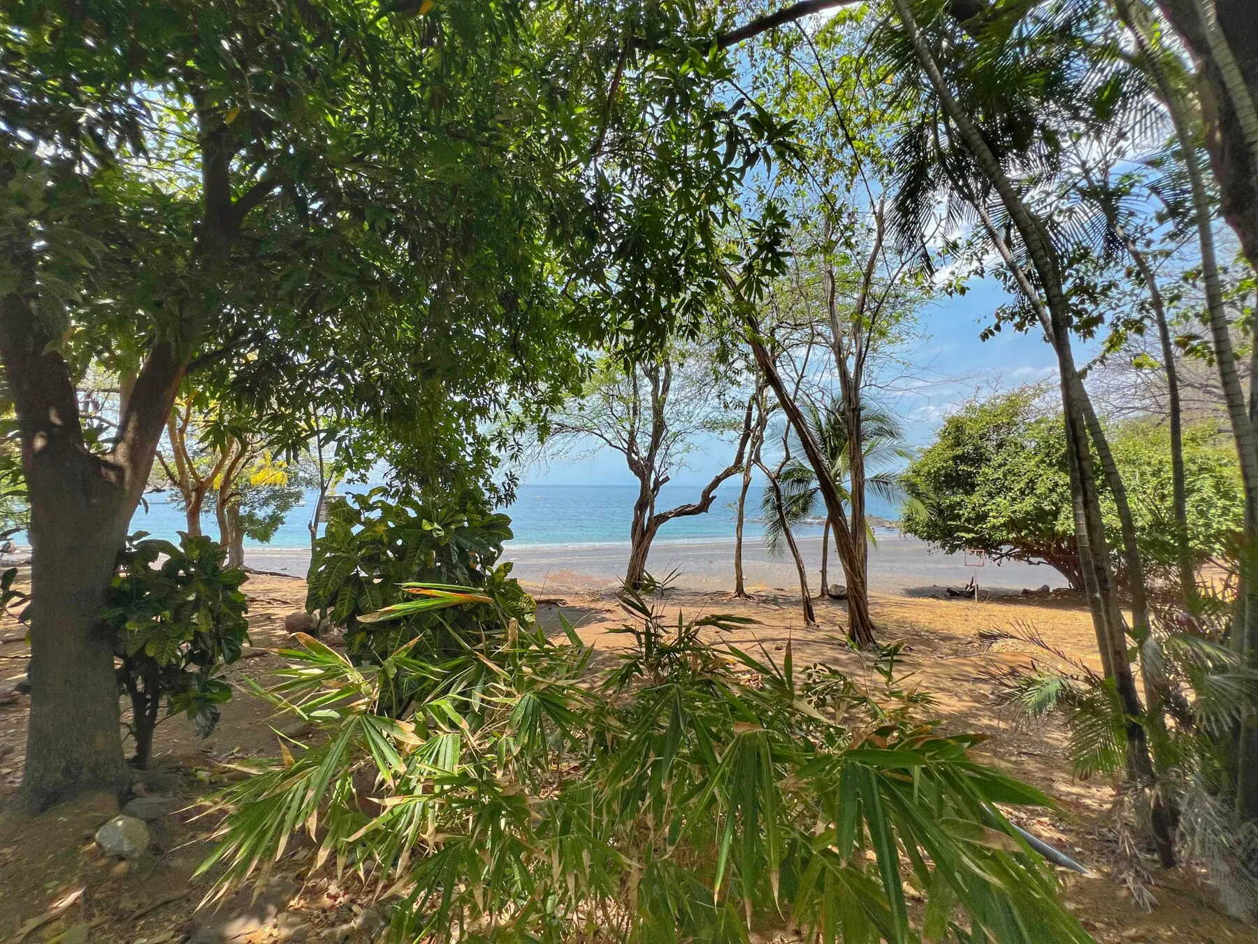 224bc6ac 73b4 46bc 82e0 4ba809205263.jpg