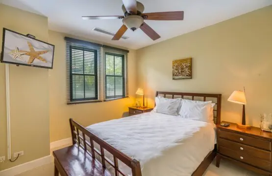 244af0c1 9e89 492e 8f8a 25db0bb7dfa1.jpg