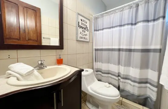 24dad972 0833 42b4 ba2d 3844b1c41b73.jpg