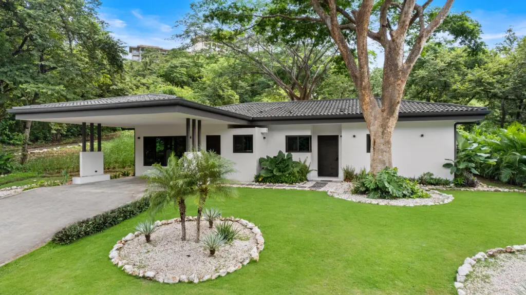 24e3747f 149a 46af 931e 5d2b358ecd8c.jpg