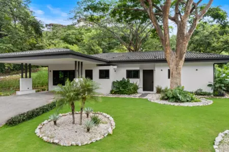 24e3747f 149a 46af 931e 5d2b358ecd8c.jpg