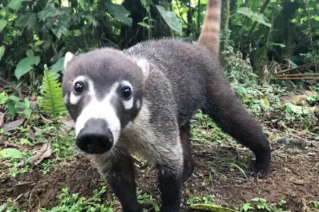 24eac025 94ab 40ee 8f7a 6f8099e54203.jpg