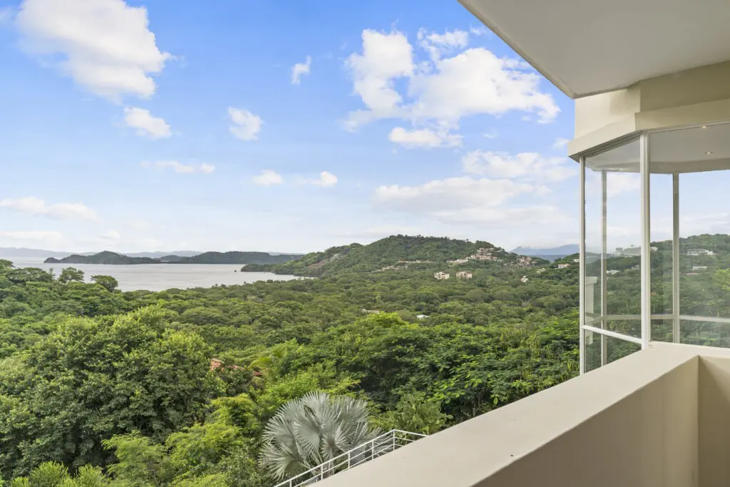 26993a5b 1545 4145 a98b 4868cad93eaa.jpg