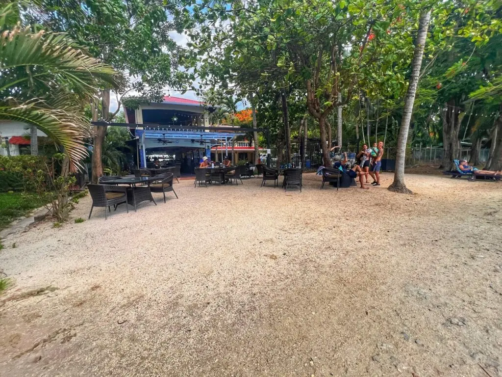 291d4fbd c0c1 4a00 9ae9 27bd19be6b5f.jpg