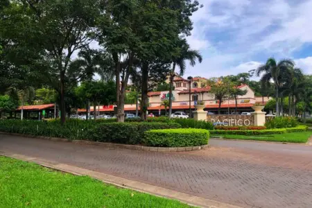 299bb60b 48ef 428e 981e 3f2309f5b61e.jpg