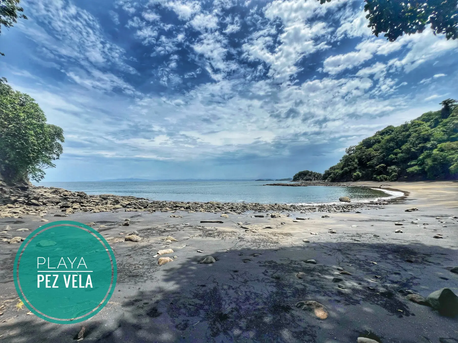 2a1d4103 f7e0 4b5a 9ab3 3ce48cbf5284.jpg