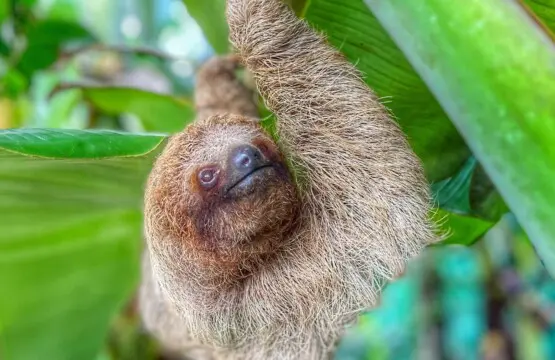 2b8a7df1 c512 4f2c b951 d59670b91d5f.jpg