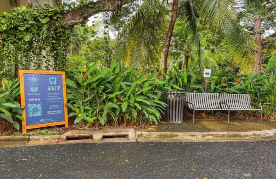 2c11c9aa ca83 4a30 b832 89a4cb86fcb7.jpg