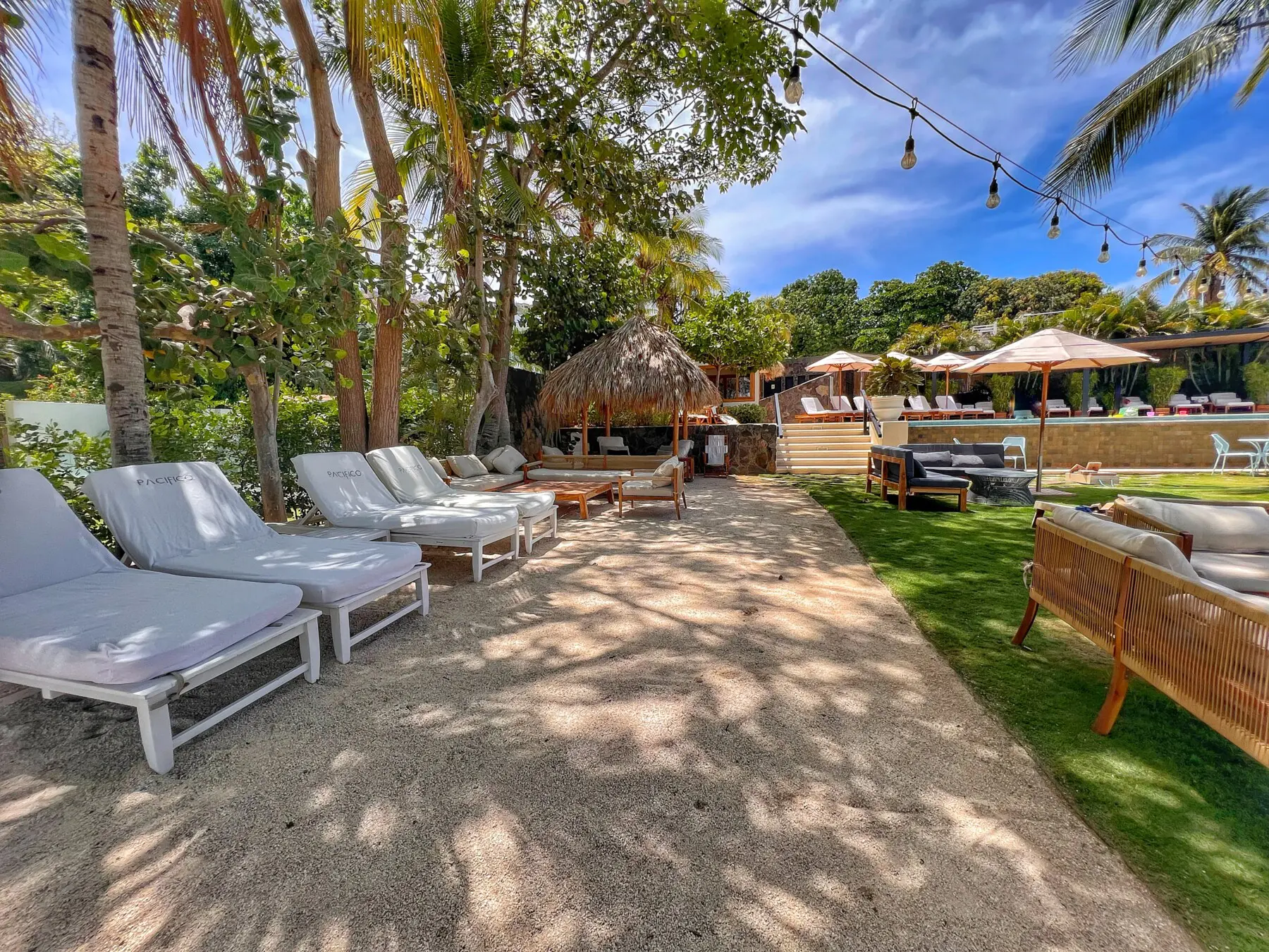 2c2dd77c 0865 4763 bfbb 9f7659f9e796.jpg