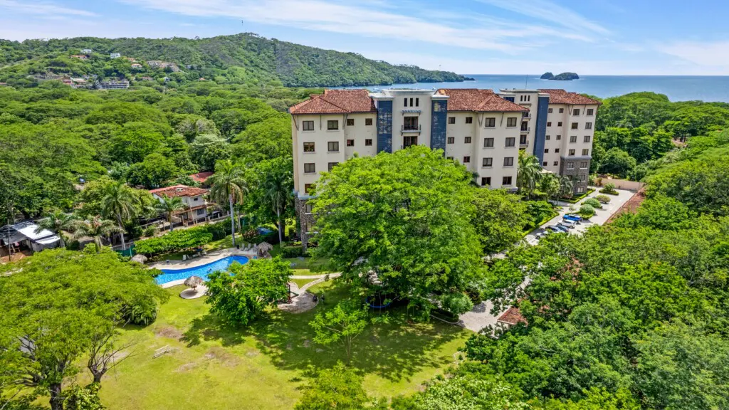 2c449491 8e52 4d0a a3f0 f4f64f5f0bfa.jpg