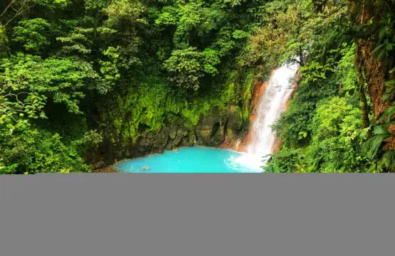 2e3e1296 3e92 4e69 9c2b 44ad9a4ba653.jpg