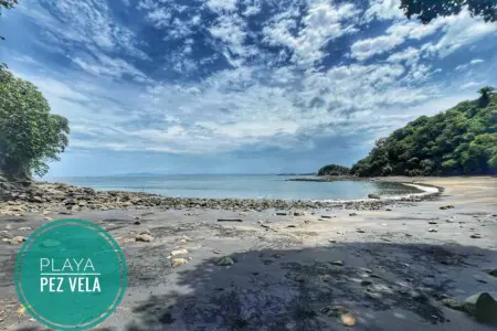 2fda5e1e d4b1 4d46 a86e d96684f1c78f.jpg